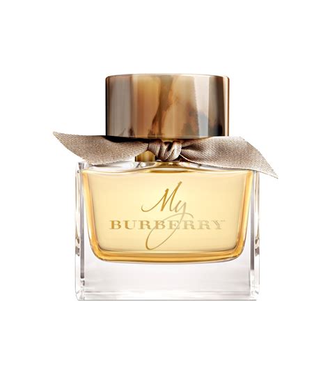 winners burberry|best Burberry perfume uk.